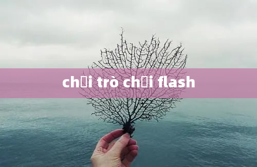 chơi trò chơi flash