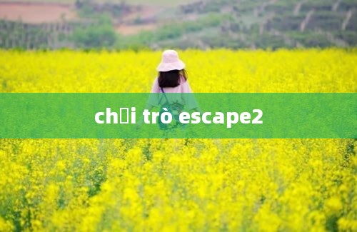 chơi trò escape2