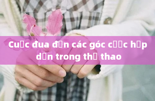 Cuộc đua đến các góc cược hấp dẫn trong thể thao