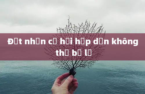 Đặt nhận cơ hội hấp dẫn không thể bỏ lỡ