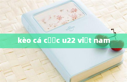 kèo cá cược u22 việt nam