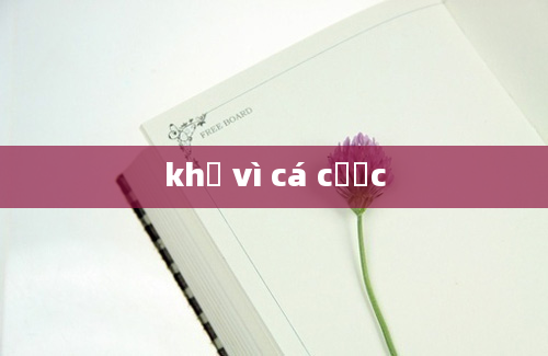 khổ vì cá cược