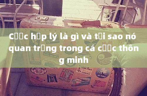 Cược hợp lý là gì và tại sao nó quan trọng trong cá cược thông minh