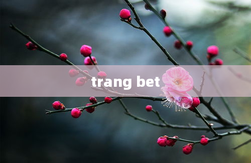 trang bet