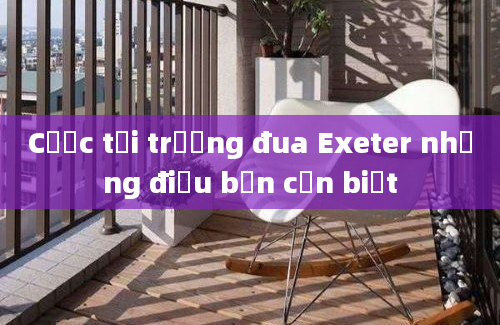 Cược tại trường đua Exeter những điều bạn cần biết