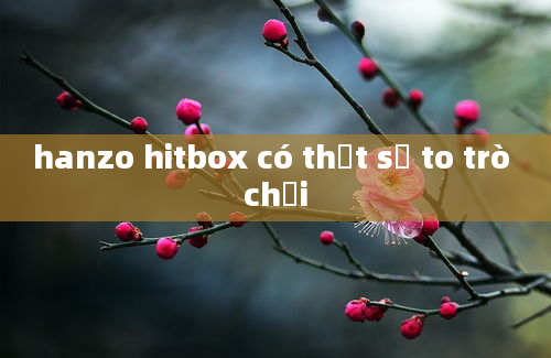 hanzo hitbox có thật sự to trò chơi