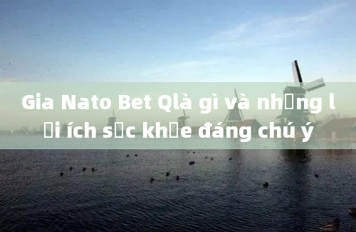 Gia Nato Bet Qlà gì và những lợi ích sức khỏe đáng chú ý