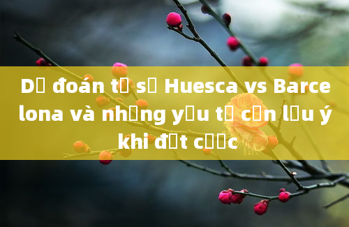 Dự đoán tỷ số Huesca vs Barcelona và những yếu tố cần lưu ý khi đặt cược