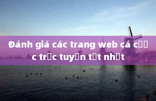 Đánh giá các trang web cá cược trực tuyến tốt nhất