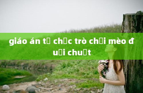 giáo án tổ chức trò chơi mèo đuổi chuột