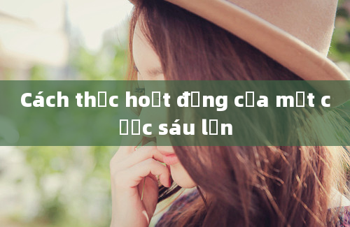 Cách thức hoạt động của một cược sáu lần