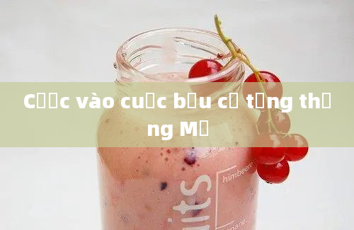 Cược vào cuộc bầu cử tổng thống Mỹ