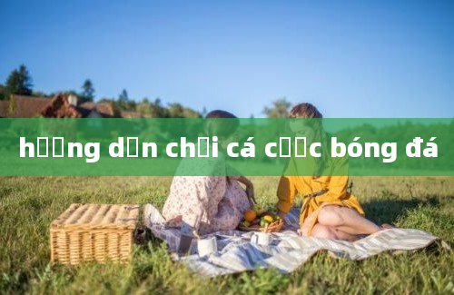 hướng dẫn chơi cá cược bóng đá