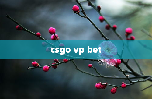 csgo vp bet