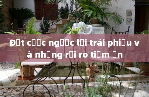 Đặt cược ngược lại trái phiếu và những rủi ro tiềm ẩn