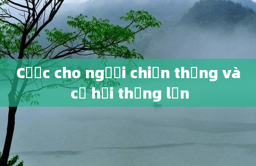 Cược cho người chiến thắng và cơ hội thắng lớn