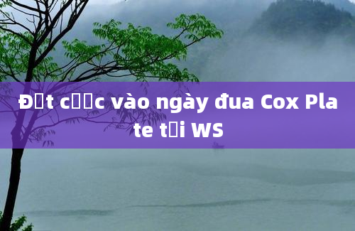 Đặt cược vào ngày đua Cox Plate tại WS