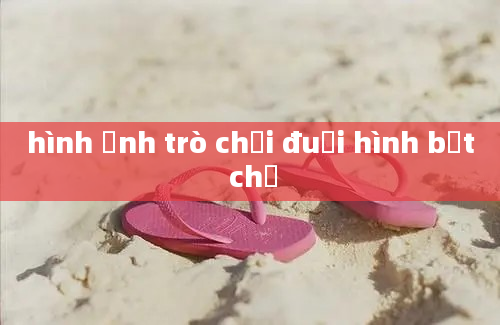 hình ảnh trò chơi đuổi hình bắt chữ