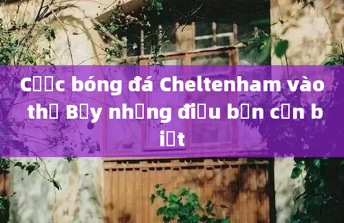 Cược bóng đá Cheltenham vào thứ Bảy những điều bạn cần biết