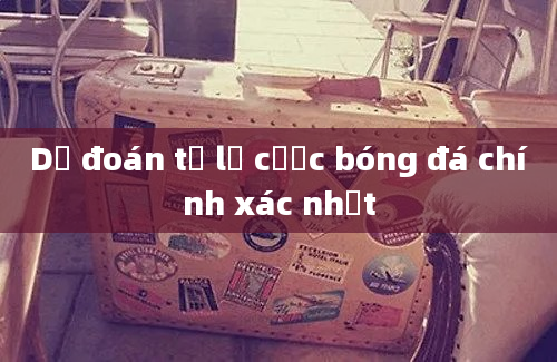 Dự đoán tỷ lệ cược bóng đá chính xác nhất