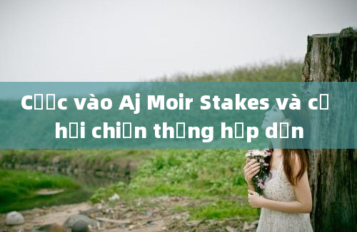 Cược vào Aj Moir Stakes và cơ hội chiến thắng hấp dẫn