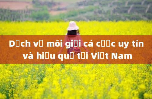 Dịch vụ môi giới cá cược uy tín và hiệu quả tại Việt Nam