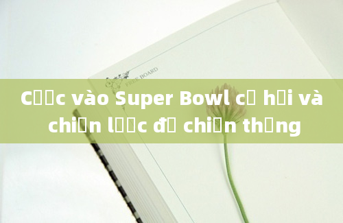 Cược vào Super Bowl cơ hội và chiến lược để chiến thắng