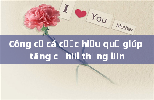 Công cụ cá cược hiệu quả giúp tăng cơ hội thắng lớn