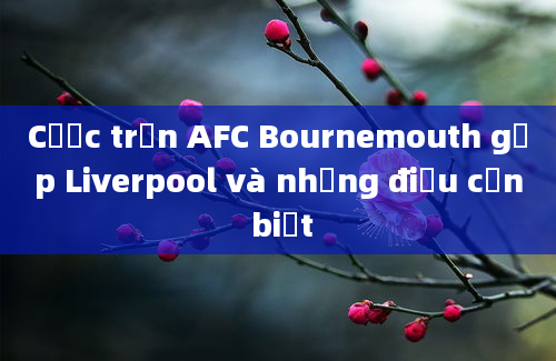 Cược trận AFC Bournemouth gặp Liverpool và những điều cần biết