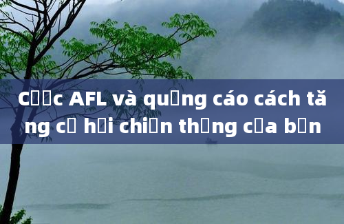 Cược AFL và quảng cáo cách tăng cơ hội chiến thắng của bạn