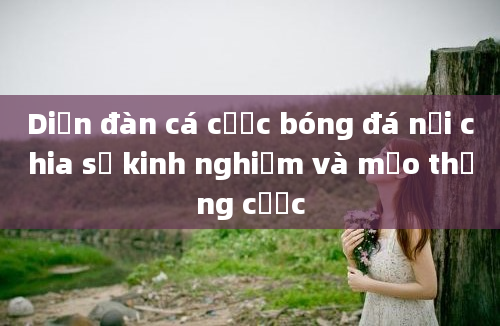 Diễn đàn cá cược bóng đá nơi chia sẻ kinh nghiệm và mẹo thắng cược