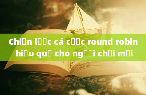 Chiến lược cá cược round robin hiệu quả cho người chơi mới