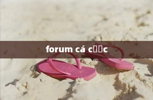 forum cá cược