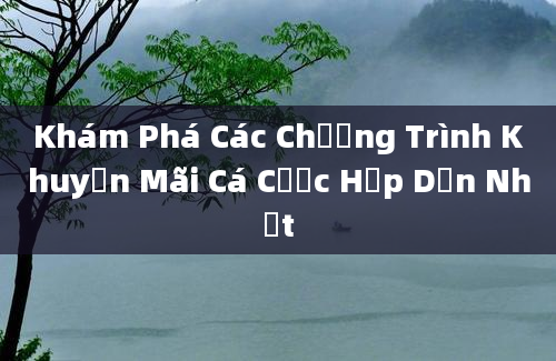 Khám Phá Các Chương Trình Khuyến Mãi Cá Cược Hấp Dẫn Nhất