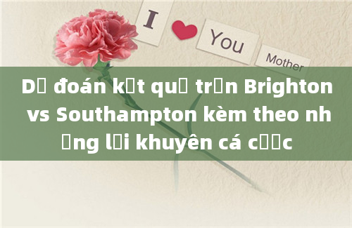 Dự đoán kết quả trận Brighton vs Southampton kèm theo những lời khuyên cá cược