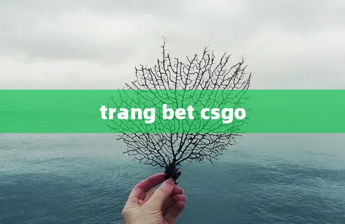 trang bet csgo