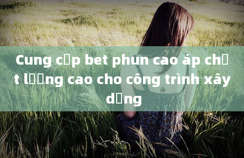 Cung cấp bet phun cao áp chất lượng cao cho công trình xây dựng