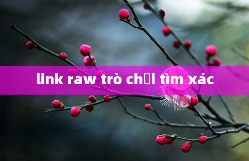 link raw trò chơi tìm xác