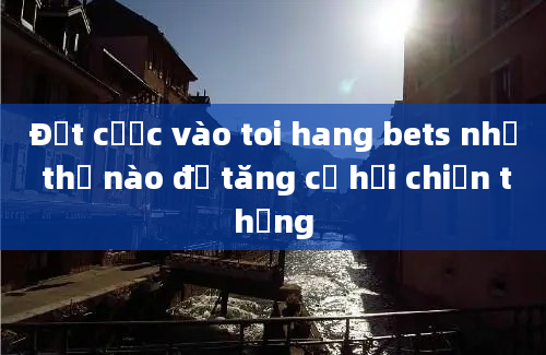 Đặt cược vào toi hang bets như thế nào để tăng cơ hội chiến thắng