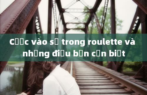 Cược vào số trong roulette và những điều bạn cần biết