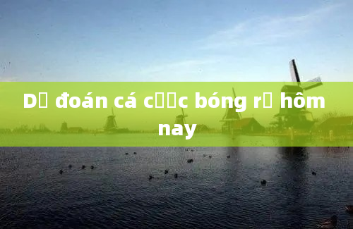 Dự đoán cá cược bóng rổ hôm nay