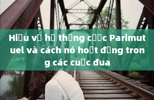 Hiểu về hệ thống cược Parimutuel và cách nó hoạt động trong các cuộc đua