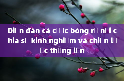 Diễn đàn cá cược bóng rổ nơi chia sẻ kinh nghiệm và chiến lược thắng lớn