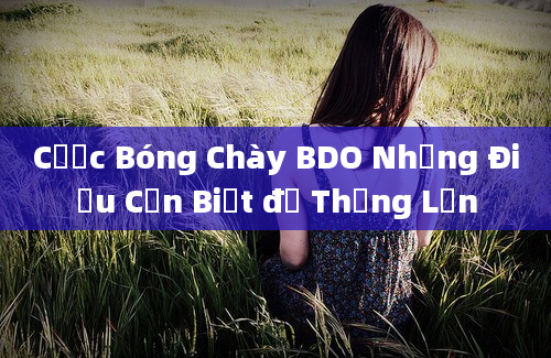 Cược Bóng Chày BDO Những Điều Cần Biết để Thắng Lớn