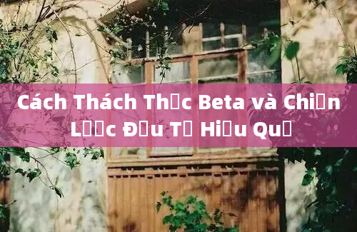 Cách Thách Thức Beta và Chiến Lược Đầu Tư Hiệu Quả