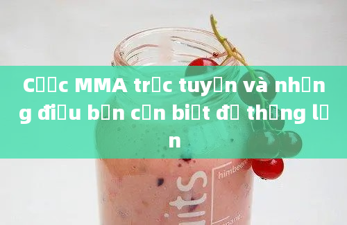 Cược MMA trực tuyến và những điều bạn cần biết để thắng lớn