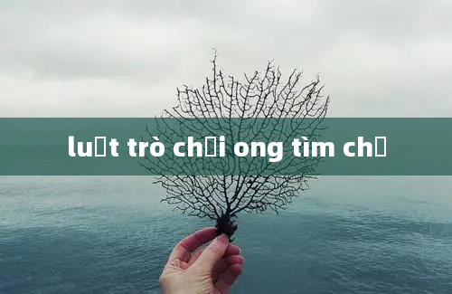 luật trò chơi ong tìm chữ