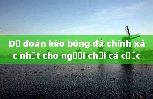 Dự đoán kèo bóng đá chính xác nhất cho người chơi cá cược