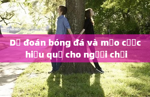 Dự đoán bóng đá và mẹo cược hiệu quả cho người chơi