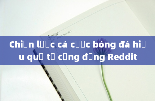 Chiến lược cá cược bóng đá hiệu quả từ cộng đồng Reddit